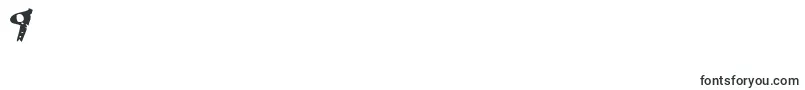 GwizskRegular Font – Fonts for Digit 9