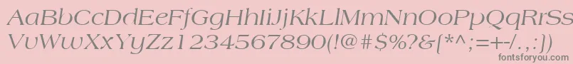 AmericanaLtItalic Font – Gray Fonts on Pink Background