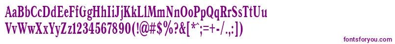 Antiqua60b Font – Purple Fonts