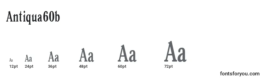 Размеры шрифта Antiqua60b