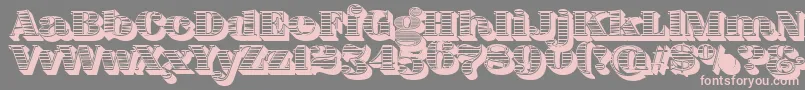 FatFlamingo5WoodcutBlack-fontti – vaaleanpunaiset fontit harmaalla taustalla