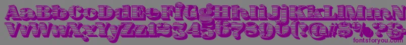 フォントFatFlamingo5WoodcutBlack – 紫色のフォント、灰色の背景