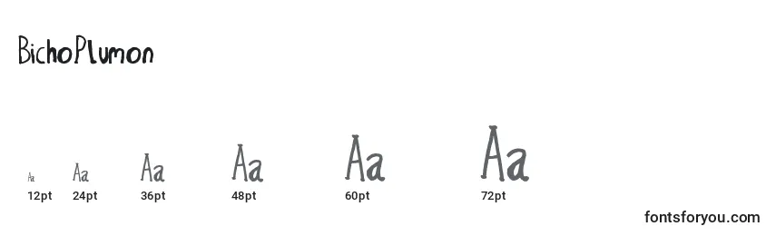 BichoPlumon Font Sizes