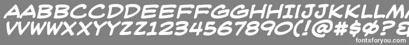 WeblettererBbBold Font – White Fonts on Gray Background