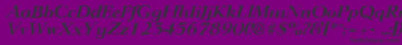 LingwoodrandomBolditalic Font – Black Fonts on Purple Background