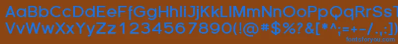 SfflorencesansBold Font – Blue Fonts on Brown Background