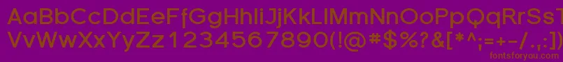 SfflorencesansBold Font – Brown Fonts on Purple Background