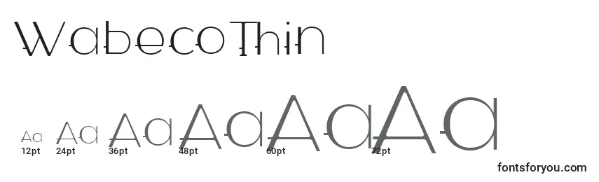 WabecoThin Font Sizes