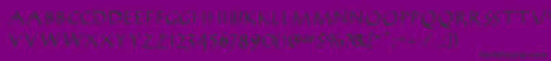 AntikwaBold Font – Black Fonts on Purple Background