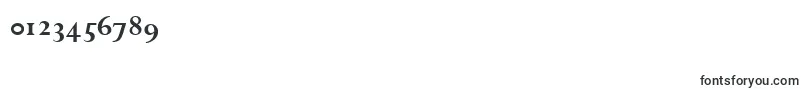 PerpetuaBoldOsf Font – Fonts for Numbers and Digits