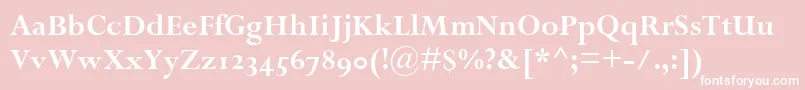 PerpetuaBoldOsf Font – White Fonts on Pink Background