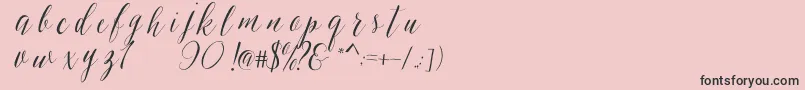 SheilovaScript-Schriftart – Schwarze Schriften auf rosa Hintergrund