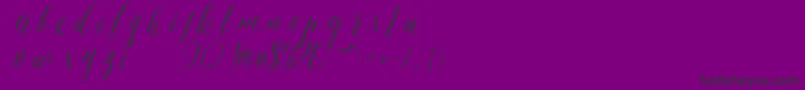 SheilovaScript Font – Black Fonts on Purple Background