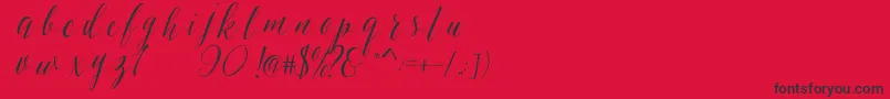 SheilovaScript-Schriftart – Schwarze Schriften auf rotem Hintergrund