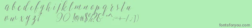 SheilovaScript Font – Gray Fonts on Green Background