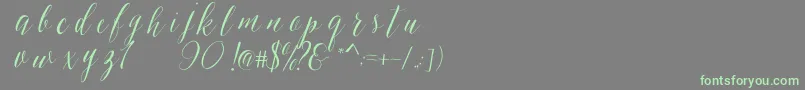SheilovaScript Font – Green Fonts on Gray Background