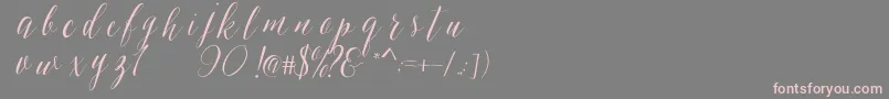 フォントSheilovaScript – 灰色の背景にピンクのフォント