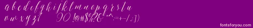 SheilovaScript Font – Pink Fonts on Purple Background