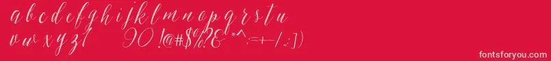 SheilovaScript Font – Pink Fonts on Red Background
