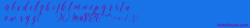 SheilovaScript Font – Purple Fonts on Blue Background