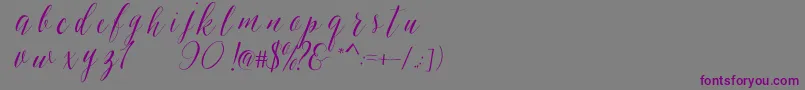 SheilovaScript Font – Purple Fonts on Gray Background