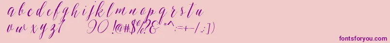 SheilovaScript Font – Purple Fonts on Pink Background