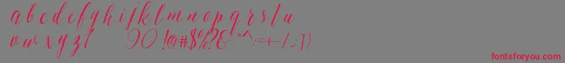SheilovaScript Font – Red Fonts on Gray Background