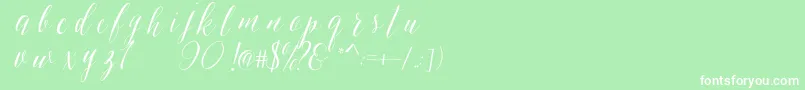 SheilovaScript Font – White Fonts on Green Background