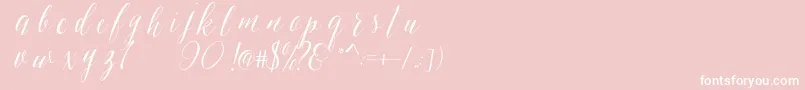 Шрифт SheilovaScript – белые шрифты на розовом фоне