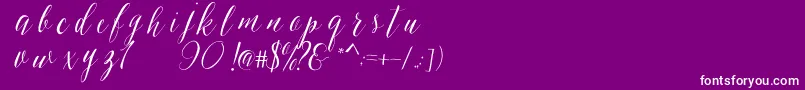 SheilovaScript Font – White Fonts on Purple Background
