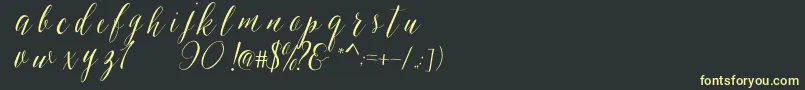 SheilovaScript Font – Yellow Fonts on Black Background
