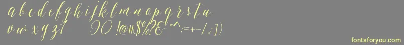 SheilovaScript Font – Yellow Fonts on Gray Background