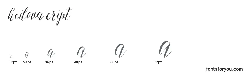 SheilovaScript Font Sizes