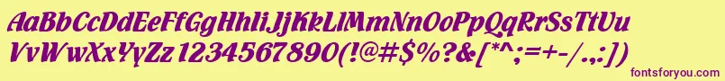 Flamencod Font – Purple Fonts on Yellow Background