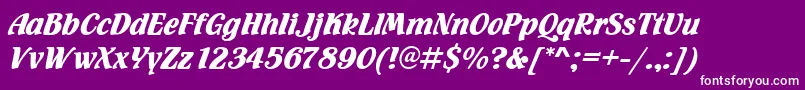 Flamencod Font – White Fonts on Purple Background