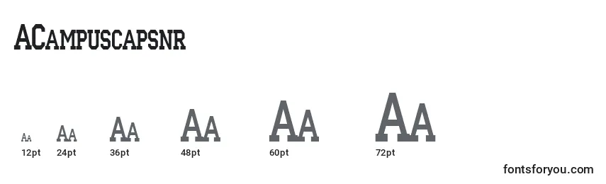 ACampuscapsnr Font Sizes