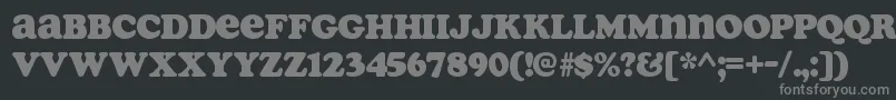 フォントSoapRegular – 黒い背景に灰色の文字