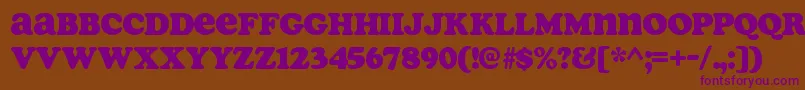 SoapRegular Font – Purple Fonts on Brown Background