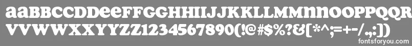 SoapRegular Font – White Fonts on Gray Background