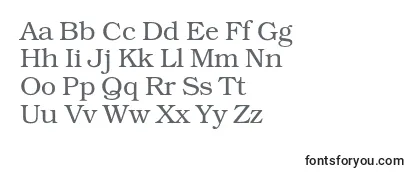 Bookmanc Font