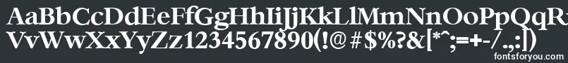 フォントBernsteinserialBold – 黒い背景に白い文字