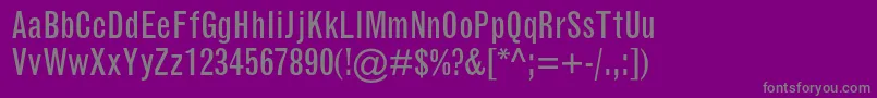 GrotesquemtstdCondensed Font – Gray Fonts on Purple Background