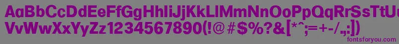 FormulaserialXboldRegular Font – Purple Fonts on Gray Background