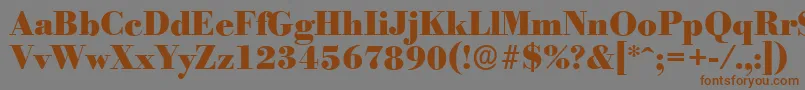 BodoniserialHeavyRegular Font – Brown Fonts on Gray Background