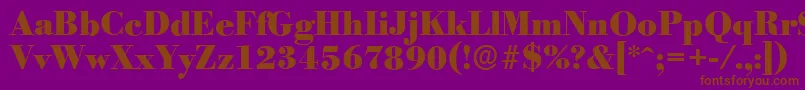 BodoniserialHeavyRegular Font – Brown Fonts on Purple Background