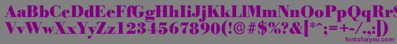 BodoniserialHeavyRegular Font – Purple Fonts on Gray Background