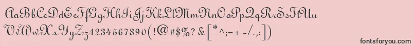 フォントLinoscript – ピンクの背景に黒い文字