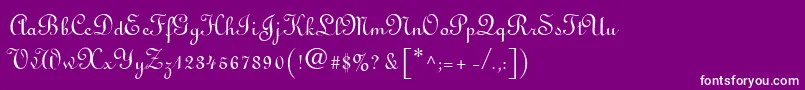 フォントLinoscript – 紫の背景に白い文字