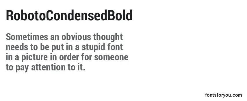 RobotoCondensedBold Font