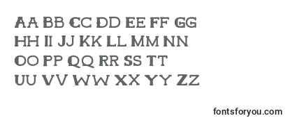 HamerRegular Font